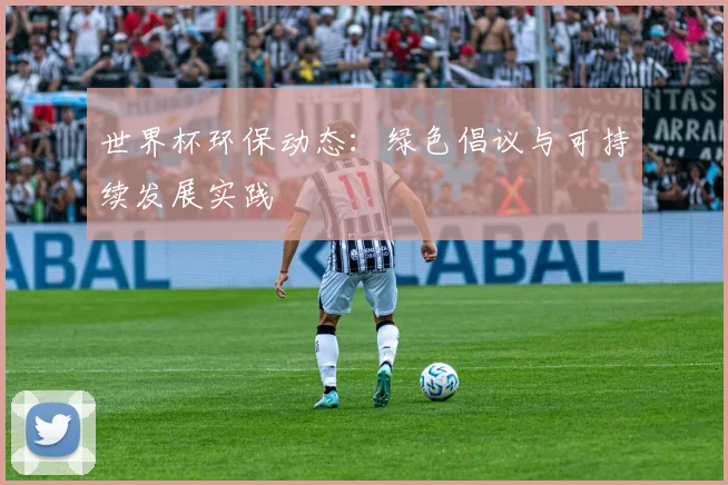 世界杯环保动态：绿色倡议与可持续发展实践