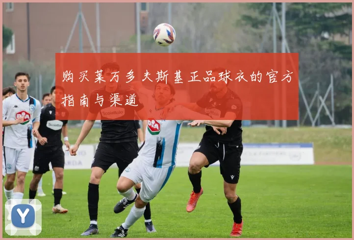 购买莱万多夫斯基正品球衣的官方指南与渠道