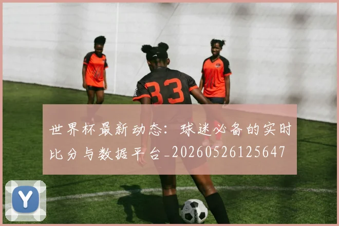 世界杯最新动态：球迷必备的实时比分与数据平台_20260526125647