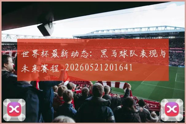 世界杯最新动态：黑马球队表现与未来赛程_20260521201641